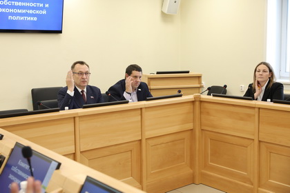 Состоялось заседание комитета по собственности и экономической политике
